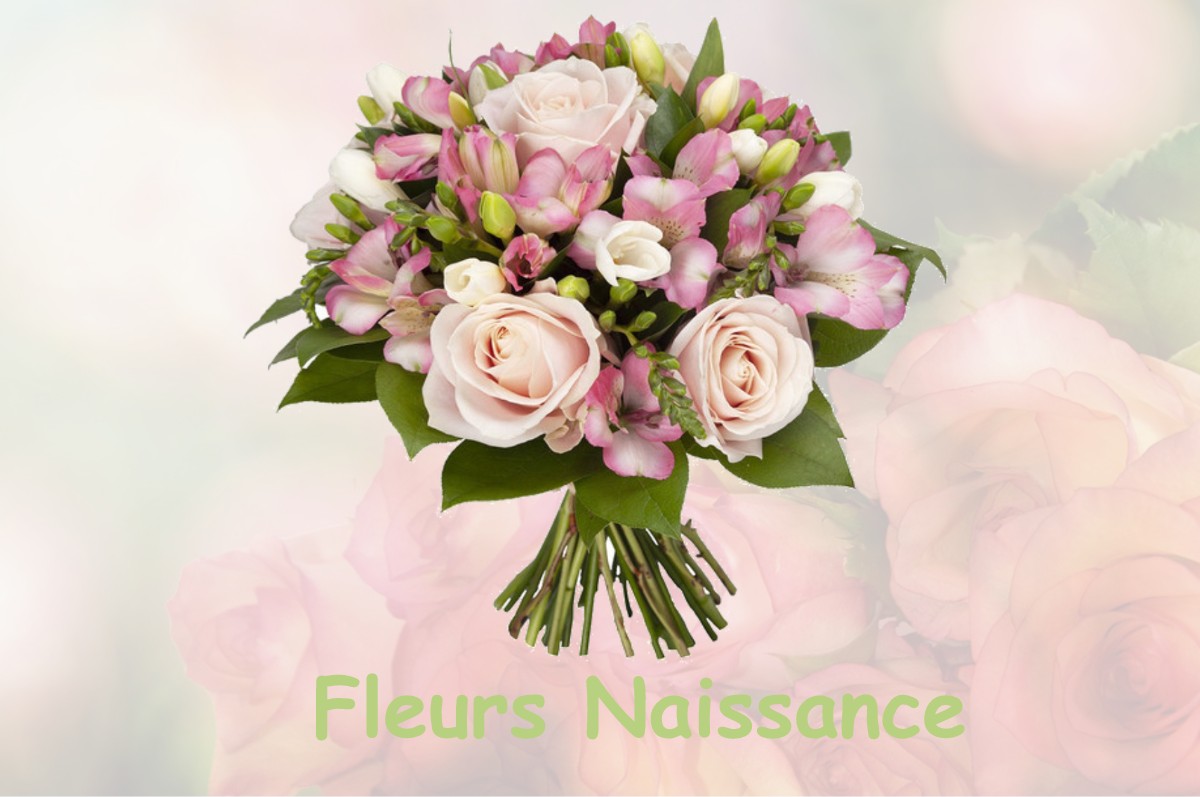 fleurs naissance ABERGEMENT-LA-RONCE