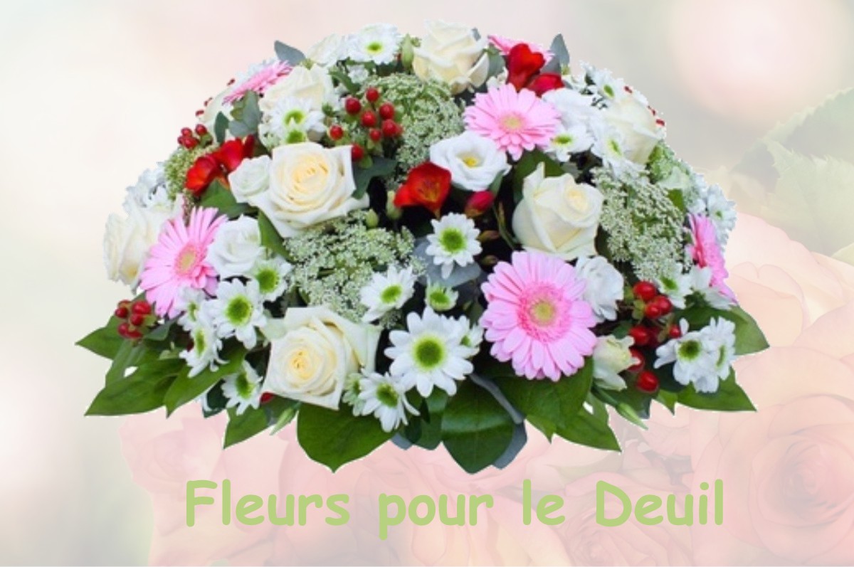 fleurs deuil ABERGEMENT-LA-RONCE