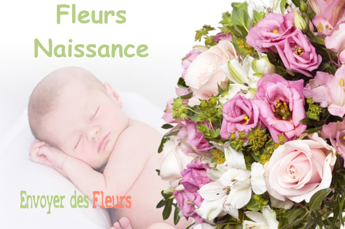 lIVRAISON FLEURS NAISSANCE à ABERGEMENT-LA-RONCE